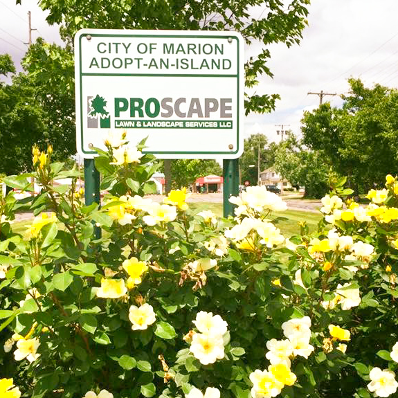 ProScape Lawn & Landscape Services MarionMade