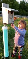 Checking bluebird house