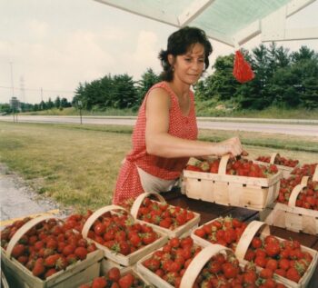A woman with dark hair, a red and white jumper, amad a white apron loads baskets of strawberries onto a wagon.