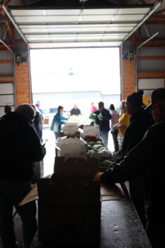 Volunteers in coats line up to move boxes of produce from inside All Occasions to trunks of the people in line.