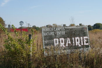 A wooden sign in the midst of plants indicating the start of the prairie.