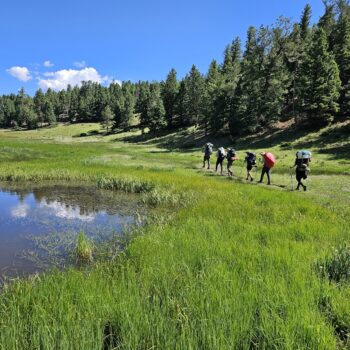 The scouts hike across a meadow under a bright blue sky while carrying their packs. 